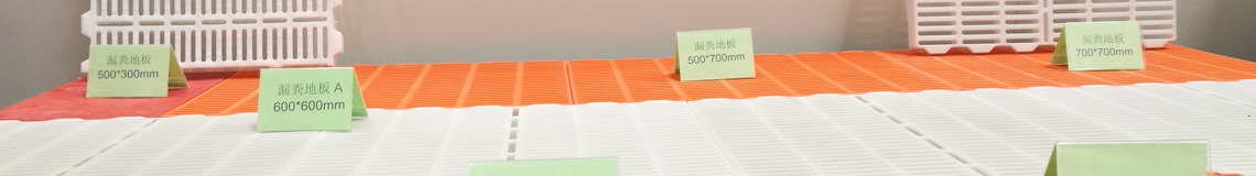 云顶国际
