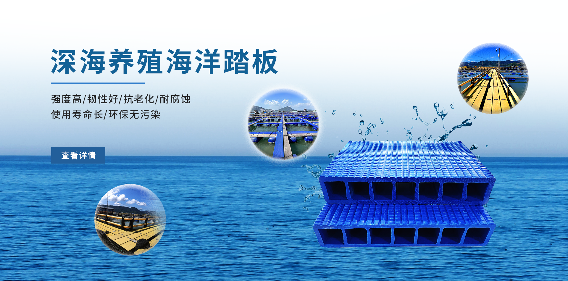 云顶国际